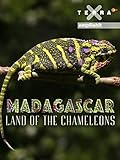 Madagascar - Land of the C