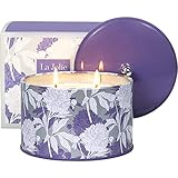 La Jolíe Muse Duftkerze Lavendel, groß 400g Aromatherapie Entspannung, Natürliches Sojawachs, Weihnachtskerze und Geschenkkerze in Dose, 2 Dochte, 40-50 S