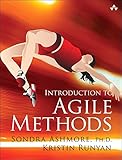 Introduction to Agile Methods (English Edition)