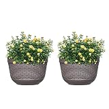 Set von 2 Stück hängenden Pflanzgefäßen für den Außenbereich aus Kunststoff Blumentopf Pflanzenhalter Aufhänger für Balkon Zaun Wandmontierte Pflanzgefäße mit Drainage und 4 Haken (Kaffee + Kaffee)