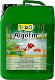 Tetra Pond AlgoFin Teich Algenvernichter - wirkt effektiv bei Fadenalgen, Schwebealgen und Schmieralgen im Gartenteich, 3 L