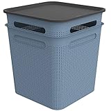 Rotho Brisen 2er-Set Aufbewahrungsbox 18l mit Deckel, Kunststoff (PP recycelt), blau/anthrazit, 2x18l, (29,5 x 29,5 x 33,4 cm)