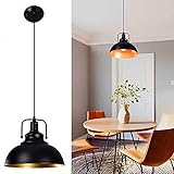 Depuley Pendelleuchte Vintage, Retro Hängeleuchte Metall, Pendellampe LED Deckenlampe Ø30cm, E27 Fassung für max. 60W, Schwarz-Gold Deckeleuchte für Küchen, Whonzimmer, Schlafizimmer, F