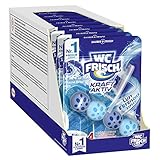 WC FRISCH Kraft Aktiv Duftspüler Frische Brise (10er Pack), WC Reiniger sorgt für Reinigung bei jeder Spülung, Duftsteine für langanhaltend frischen WC D