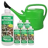 ABACUS 6X 1000 ml Stone Refresher + 14 Liter Gießkanne - Steinreiniger Fugenreiniger Algenex Algenvernichter Grünbelagentferner Wege ohne Glyphosat Unkrautvernichter (7410.6)