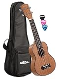 Cascha Sopran Ukulele Set Kinder Erwachsene I Ukulele Starter Kit 3 farbige Plektren Tasche Konzertbag I Sopran Ukulele Premium Mahagoni I Kleine Hawaii Gitarre für Anfänger Fortg