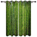 CUUGF Grün Pflanze Bambus Frisch Verdunkelungsvorhang 2 Stück, Thermovorhang, Blickdicht, Verdunkelung, Schwere Verdunkelung, Schlafzimmerthermos, Undurchlässig 200x214