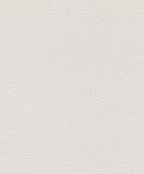 Rasch Tapeten Vliestapete (universell) Grau 10,05 m x 0,53 m Tapetenwechsel 804539 Tapete, Hellgrau, 10.05 0.53