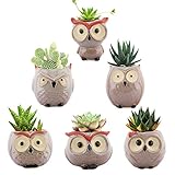 Lewondr Succulents Flowerpots, 6 Pack 2.5 inch Owl Flower Pot Bonsai Plant Pots Ceramics Planter Container Set for Home Office Desk Shelf Window Décor, Colorful 02