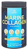 Q HONEY Marine Kollagen pulver . Collagen Pulver mit Vitamin c und Hyaluron . Kollagen Hydrolysat Peptide 400 g, Pulver Geschmack