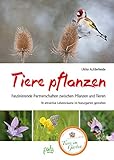 Tiere pflanzen: Faszinierende Partnerschaften zwischen Pflanzen und Tieren - 18 attraktive Lebensräume im Naturgarten g