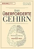 Das überforderte Gehirn: Mit Steinzeitwerkzeug in der Hightech-W