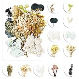 Herefun Natürliche Getrocknete Blumen, DIY Gepresste Blumen Gemischte, Blumen Natürliche Gemischte, Getrocknete Blumen Gepress, Blumen Gemischte Blätter für Kunst Basteln DIY Harz Scrapbooking