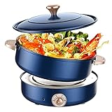 FHTD Großer Multikocher,1500W Aluminium Multifunktionspfanne,Elektrischer Hot Pot,Elektrischer Grill,Einstellbare Temperaturregelung