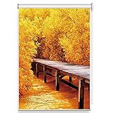 CYNN Verdunkelungsrollo Verdunkelungsrollos mit Goldenem Baum- Und Brückenmuster, Wasserdichter Wärmeisolierter Sonnenschutz mit Beschlägen für Küche/Bad/Büro (Size : 90x120cm)