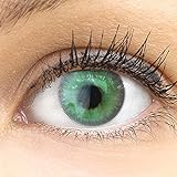 Sehr stark deckende und natürliche grüne Kontaktlinsen SILIKON COMFORT NEUHEIT farbig grün + Behälter von GLAMLENS - 1 Paar (2 Stück) - DIA 14.20 - ohne Stärke 0.00 Diop
