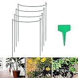 Pflanzenstütze Rund Metall, Pflanzenstütz Pfahl, Halbrunder Ring Käfighalter Rankhilfe für Pflanzen, Blume, Rose, Tomaten, Lilie, Pfingstrose (21 x 35 cm)