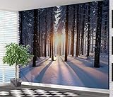 Zjfong Tapetenwandbild Winterwald Bei Sonnenaufgang Verschneite Winternatur-400X280C