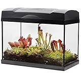 Swampworld Terrarium XL - Fleischfressende Pflanzen im glas Terrarium mit Beleuchtung - Inklusive Venusfliegenfalle, Sonnetau, Schlaufpflanzen, Natur Moos, Erde und Feuchtigkeitsmesser - 39x21x31