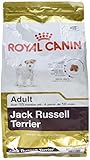 ROYAL CANIN Jack Russel Adult 3 kg, 1er Pack (1 x 3 kg)