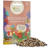 Insekten Insel: 10g insektenfreundliche Blumenwiese Samen - Wildblumensamen Mischung mehrjährig und einjährig - Bienenwiese Blumenmischung - Bienenweide Saatgut mit Wiesenblumen Samen von OwnGrow