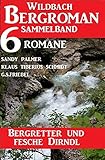 Bergretter und fesche Dirndl: Wildbach Bergroman Sammelband 6 R