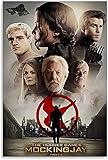 FZSMXH Leinwand Bedrucken 50x70cm Kein Rahmen Film Tribute von Panem Dekoratives Wohnzimmer S