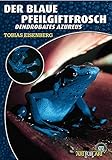 Der Blaue Pfeilgiftfrosch: Dendrobates tinctorius „azureus“: Dendrobates azureus (Art für Art: Terraristik)