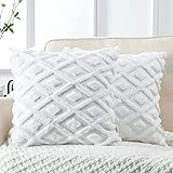 Artscope 2er-Set Dekorativ Kurze Wolle Kissenbezüge, Sanft Plüsch Samt Zierkissenbezug Luxus Dekokissen Kissenhülle Set Kissen Fall für Sofa Auto Schlafzimmer Zuhause Dekor (Reines Weiß, 45 x 45cm)