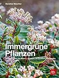 Immergrüne Pflanzen: Struktur, Farbe und Blüten - Gestalten mit Gehölzen und Stauden (Gartengestaltung)