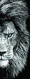 artissimo, Glasbild, 30x80cm, AG4100A, Lion, Bild aus Glas, Moderne Wanddekoration aus Glas, Wandbild Wohnzimmer modern, Löwe, Raubk