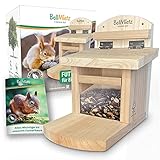 BellMietz® geliebtes Eichhörnchen Futterhaus [extra sicher & stabil] | Eichhörnchenhaus mit innovativem Belüftungssystem für trockenes Futter | Erprobtes Design Futterhaus für Eichhö