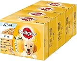 Pedigree Vital Protection Hundenassfutter für Welpen im Beutel – Hundefutter in Gelee mit Huhn, Lamm, Geflügel, Rind & Reis – 48 x 100g Großpackung