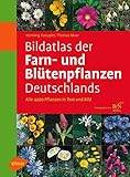 Bildatlas der Farn- und Blütenpflanzen Deutschlands: Alle 4200 Pflanzen in Text und B