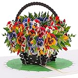 Heyu-Lotus Pop-Up Blumen Karte, 3D Bunte Blumenkorb Karte mit Umschlag, Geburtstags Geschenkkarte für Hochzeit Valentinstag Jahrestag Geburtstag W