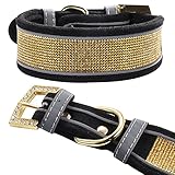 LOVPE Hundehalsband, weiches Veloursleder, glitzernde Kristalle, verstellbar, goldfarbene Strasssteine, für große Hunde, Größe M, Schw