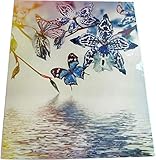 Carlier France Magnet-Deko für Kühlschrank/Geschirrspüler, magnetisch haftende Folie - 45 x 55 cm, Motiv: Schmetterlinge/Blü