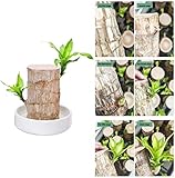 Blumentopf Figur - Übertopf Groß Aquarium Deko Figur Holz Aschenbecher Stiftehalter - I