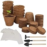 Herefun 39 Stück Anzucht Set, Anzucht-Töpfe, Pflanzenanzucht, Bonsai Starter Kit mit Aufzucht-Erde, Pflanzentöpfe Abbaubar, Etiketten, Bonsai Anzuchtset für Pflanzenfreunde, Kinder Geschenk