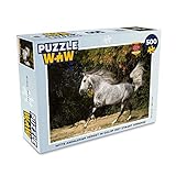 MuchoWow Puzzle 500 Teile - Pferd - Weiß - Andalusier - G