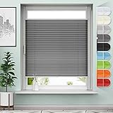 Sanfree Plissee Klemmfix Plisseerollo ohne Bohren 55x100cm (BxH) Anthrazit inkl. Klemmträger blickdicht und lichtdurchlässig Jalousie Faltrollo Sichtschutz und Sonnenschutz Rollo für Fenster & Tü