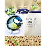 Lyra Pet® 10 kg Erdnusskerne in Schale HK Afrika Schoten Ganzjahresfutter Eichhörnchen Erdnüsse Vogelfutter Wildvögel Wildvog