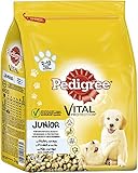 Pedigree Hundefutter Trockenfutter Junior mit Huhn und Reis, 3 Beutel (3 x 3kg)