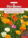 Kalifornischer Mohn Mischung