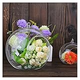 SweeT DumplinG vase vasen Home Office Decor Hängen dekorative Glasvase for Pflanze Kreative Hängende Glaskugel Blume Vase Terrarium Container (Color : 8cm)