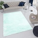TAPISO Bird Teppich Shaggy Hochflor Langflor Mint Einfarbig Weich Modern Design Wohnzimmer Schlafzimmer ÖKOTEX 160 x 220