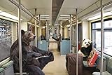 Wandbilder Bären in Berlin | Brandenburger Tor | Bahnhof Zoo | Berliner Dom | Acrylglas Leinwand oder Alu-Dibond | Fantasie Phantasie surreal (Blinde Passagiere, Bild auf Alu-Dibond 60 x 40 cm)