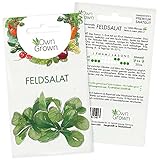 Feldsalat Samen Winterhart: Premium Feldsalat Saatgut für ca. 1000 Feldsalat Pflanzen – Samenfeste Gemüse Samen für die Anzucht in Garten und Hochbeet – Wintergemüse Samen – Samen Feldsalat OwnGrow