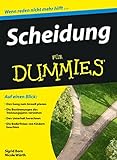 Scheidung für Dummies: Den Gang zum Anwalt planen / Die Bestimmungen des Trennungsjahrs verstehen / Den Unterhalt berechnen / Die Bedürftigen Kindern b