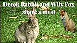 Derek Rabbit and Wily Fox share a meal (English Edition)